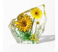 Taxidermy Daisy, Real Flower Specimen in Crystal Clear Resin, Preserved Sample Plant Flower Paperweight for Botany Science Education (Daisy-1PC)