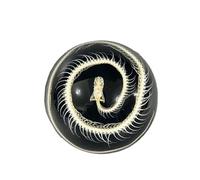 Taxidermy Insect Resin Skeleton, Real Animal Skeleton Block Embedded Specimen for Science Education(Circular Snake Skeleton)