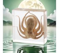 Taxidermy Octopus Specimen in Resin, Real Octopus for Science Education, Biology Classrooms, Unique Display for Oddities Enthusiasts, Great Gift for Collectors and Fans of Taxidermy (Octopu)