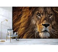 Taxpy 3D Printed Wallpaper Animal Lion,430x300cm Mural Modern Photo Wallpaper Living Room Home Decoration Wall murals