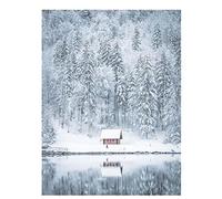 Taxpy Cross Stitch Kits for Adults Landscape Winter Snow Printed Fabric Cross-Stitch Set Embroidery Handicraft Hobby Needlework Knitting 11Ct Counted Printed Cross Stitch Kits