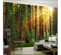 Taxpy Custom Photo Wallpaper for Bedroom Walls Woods Under The Sun Photography Background Wall Art Papier Peint Mural 3D Fresco-400X280Cm