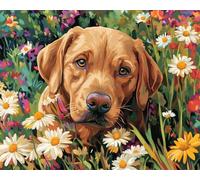 Taxpy DIY Bead Embroidery Kits Dog Animals and Colorful Flowers DIY Bead Embroidery Craft Kit for Beginners Cross Stitch Needlework Set 60x80cm
