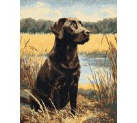 Taxpy DIY Latch Hook Rug Making Kit for Adults Labrador in The Field 15X20In/52X38Cm Embroidery Kits Cross Stitch Kit Carpet Making Kit Needlework DIY Craft Kits for Home Deco