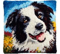 Taxpy Latch Hook Cushion Kit for Adults Beginners,Border Collie,17x17 Inch DIY Pillow Making Kit,Pre-Printed Canvas with Pre-Cut Yarn and Tool,Craft for Home Décor and Handmade Gift