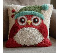 Taxpy Latch Hook Cushion Kit for Adults Beginners Robin Complete All-in-One DIY Rug Making Kit with Hook, Yarn and Canvas-Creative Craft Gift- Home Decor Pillow Cover 17X17 Inch