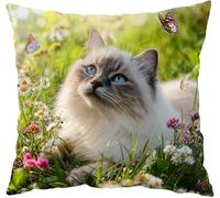 Taxpy Latch Hook Kits Pillow for Adults Cat On The Grass Throw Pillow Pre-Printed Patterns Pillowcase Needlework Crochet Yarns Latch Hooking Cushion for Sofa Decor 17X17Inch