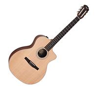 Taylor 214ce-N Spruce/Walnut B-Stock
