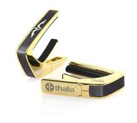 Taylor 24k Gold Finish Capo - 900 Series Ascension Fingerboard Marker