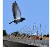 Taylor & Brown 5 Metre Pack Bird Spikes Deterrent Anti Perch Control Repeller Stainless Steel & Polycarobonate