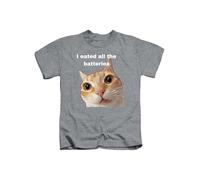 Taylor Brown Orange cat Meme i easted All, Fun Silly Weird Strange Humerous cat Joke Novelty Tee T-Shirt Funny Unisex T Shirt Top