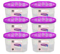 Taylor & Brown Pack of 6 Scented Interior Dehumidifier Condensation Remover Moisture Absorber Damp Mould in Home Kitchen Wardrobe Bedroom Caravan Office Garage Bathroom Basement 500ml (Lavender)