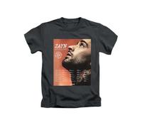 Taylor Brown Zayn pop The Konnakol Novelty Meme icon Iconic Trendy Trend Cool Tee T-Shirt Funny Unisex T Shirt Top Black