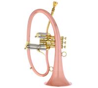 Taylor Trumpets Phat Boy