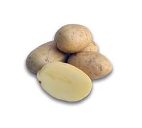 Taylors Bulbs VAC465 Skywalker Seed Potatoes 2KG Carri-Pack