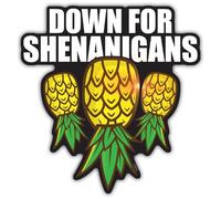 TAYTA Down for Shenanigans Upside Down Pineapple Magnet for Cruise Door, Refrigerator and Car Bumper, Swinger Lifestyle Gifts, Size 4in