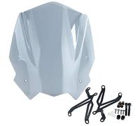 TAZGANTAX Motorcycle Touring Windshield Flyscreen Protector for G310R Windscreen Wind Deflector Compatible with G310 R G-310-R 2016 2017 2018 2019 2020 2021 2022 Visor Accessories (Light Smoke)