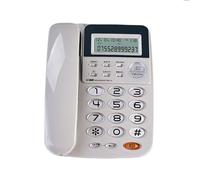 TAZIZI C168 Fixed Telephone with Big Button and 24Ring Tones, Gray | Call and Caller Display with Double Interfaces, No Need Battery, 24 Selectable Ringtones for Business or Home