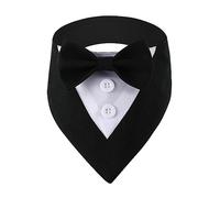 TAZIZI Cute Bow Tie Collars with Pet Photo Props, Black S | Elegant Big Cute Girl Dog Collar Necktie with Bow Tie for Small Girl Dogs Wedding Costumes