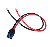 TAZIZI EC5 Eyelet Terminal Harness 10 AWG for Battery, Males head | Jump Starter Battery Cable EC5 to Eyelet Terminal Adapter for Charging Wiring Projects Roadside with PVC Cover