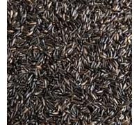 tba Wild Bird Niger Nyger Nyjer Seed- PREMIUM WILD BIRD SEED ESSENTIAL NUTRITION (2kg)