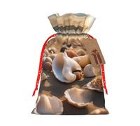 TBABMDPDM Seashell Landscape On The Beach Print Christmas Gifts Bags,Burlap Bags with Drawstring Assorted Sizes for Party Favors