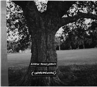 Archy Marshall - A New Place 2 Drown (Instrumentals) [VINYL]