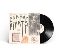 Parquet Courts Tally All The Things You Broke Black Vinyl LP (PRESALE)