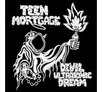 Teen Mortgage - Devil Ultrasonic Dream (Black Vinyl) [VINYL]