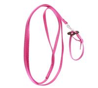 Tbest Bird Harn Le Birds Nylon Ante Rope For Outdoor Ing Rose Pet Plies Chest Harn, Traction Rope (#3)