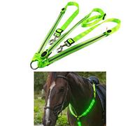 Tbest LED Horse Breastplate Collar High Visibility Gear for Night Riding with 3 Flashing Modes - Polyester Webbing & CR2032 Battery Powered (Green)
