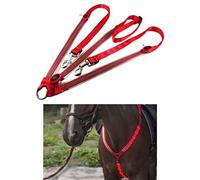 Tbest LED Horse Breastplate Collar High Visibility Gear for Night Riding with 3 Flashing Modes - Polyester Webbing & CR2032 Battery Powered (Red)