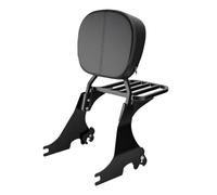Tbest Motorcycle Sissy Bar with Steel Luggage Rack for 883 1200