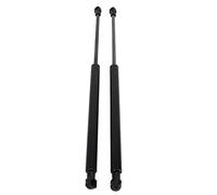 Tbest Pair Front Hydraulic Strut Bonnet Hood Support Struts Kit Replacement for 2021 and Later LiftCar Hood Holder The Struts Support for Replacement Check and and Model Keep and Ma