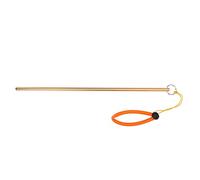 Tbest Scuba Diving Pointer Scuba Diving Aluminum Alloy Tickle Pointer Stick with Measurement & Lanyard replacement for Scuba Diving(Golden)
