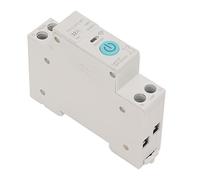 Tbest WiFi Smart Relay Switch Module Safe Mystical/Fantasy Retardant DIN35 Rail Cycle Timing for Intelligent Home Control - Red Copper/White, 1 X Smart Switch Breaker [remote Control] (32A)