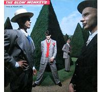 Tbm (Blow Monkeys) - This Is Your Life