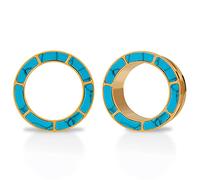 TBOSEN 1 Pair of Stainless Steel Inlaid with Turquoise and Fritillarite Screw Ears Tunnel Plug Gauges Expander Piercing Fashionable Gift 0g-1Inch in 8mm-25mm