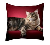 TBOUOBT Throw Pillow Case Cushion Cover, Decorations for Sofa Couch Bed Chair, Animal Maine Coon