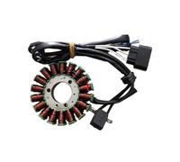 TBUOIUE Engine Ignition Coil For RK5 For Silverblade 250 For Insignio250 For SpeedGear 250 For BJ250T-8 For Zafferano 250 Motorbike Ignition Magneto Stator Coil