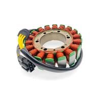 TBUOIUE Engine Ignition Coil Motorbike Generator Stator Coil Replacement Parts For F650GS For F700GS For F800RS For F800 FS 650 700 800 GS GT ST 12317690427 12318524422