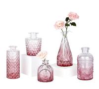 TBWIND Pink Day Glass Bud Vase Set of 5, Small Flower Vases for Centerpieces in Bulk, Mini Vintage Vase for Wedding Decor, Single Flowers, and Home Table Décor