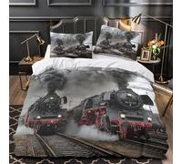 TBZXEEWOE Vintage Steam Locomotives Comforter Cover 3D Design Printed Super Soft 3 Pcs Bedding Set Zipper Quilt Cover Luxury Machine Washable for Kids Girls Boys Adults Women Teens Double（200x200cm）