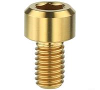 TC4 M6x10mm Brake Clamp Mounting Screw for V-Brake and C-Brake Systems on Entry-Level and Mid-Tier Bikes (gold-1pcs)