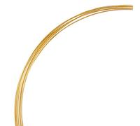 TCC Sourcing 5ft Fine 14k Gold Filled Round Wire 24 Gauge 24ga (0.5mm) Dead Soft
