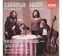 Tchaikovsky: Trio in A Minor, Op. 50/Brahms: Trio in E-flat, Op. 40 for Piano, Violin and Horn by unknown (1993-05-11)