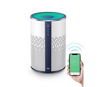 T ir Purifier for Home Room Bedroom, Smart WiFi Alexa Control, True H13 HEPA Air Filter Remove 99.97% Smoke Odor Pet Dander Dust Pollen Mold Air Cleaner Metal Design with Night Light