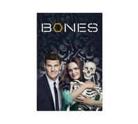 TCMAHE Bones TV Series Poster (4) Canvas Poster Bedroom Decor Landscape Office Room Decor Gift 08x12inch(20x30cm)