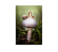 TCNDFZ Snail On A MushroomArt Painting Decoration Classic Canvas Wall Art Prints Poster Decoration Picture Living RoomWall DecorUnframe-style16x24inch(40x60cm)