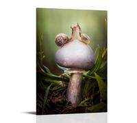 TCNDFZ Snail On A MushroomArt Painting Decoration Classic Canvas Wall Art Prints Poster Decoration Picture Living RoomWall DecorFrame-style12x18inch(30x45cm)